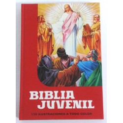 BIBLIA JUVENIL 110 LUSTRACIONES A TODO COLOR