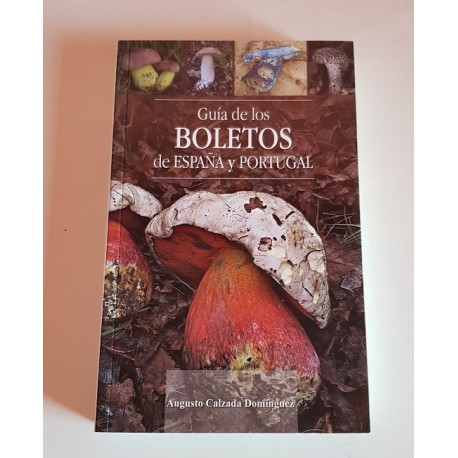 GUIA DE BOLETOS DE ESPAÑA Y PORTUGAL