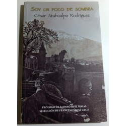 SOY UN POCO DE SOMBRA