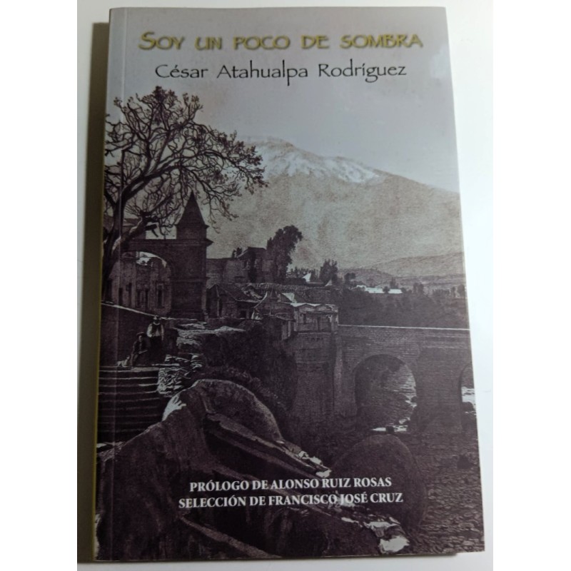 SOY UN POCO DE SOMBRA