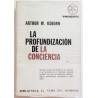 LA PROFUNDIZACIÓN DE LA CONCIENCIA