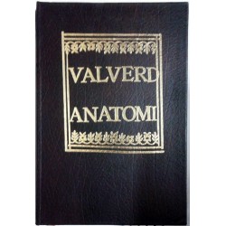 VALVERD ANATOMI. HISTORIA DELL' ANATOMIA