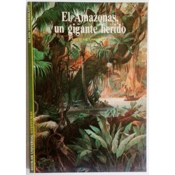 EL AMAZONAS, UN GIGANTE HERIDO