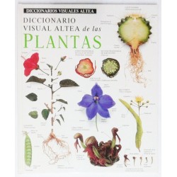 PLANTAS