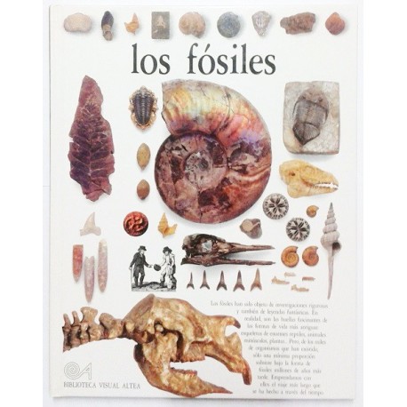 LOS FOSILES