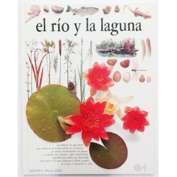EL RIO Y LA LAGUNA