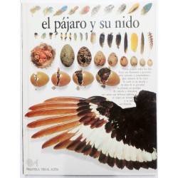 EL PAJARO Y SU NIDO