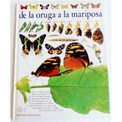 DE LA ORUGA A LA MARIPOSA