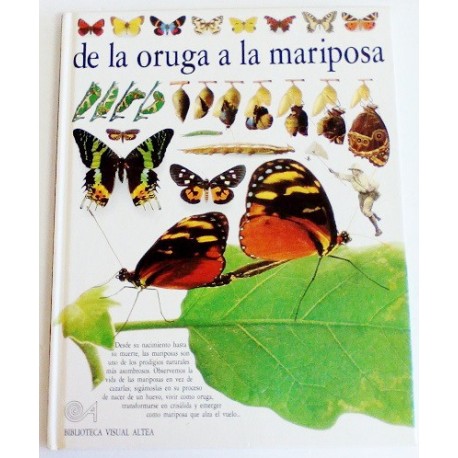DE LA ORUGA A LA MARIPOSA