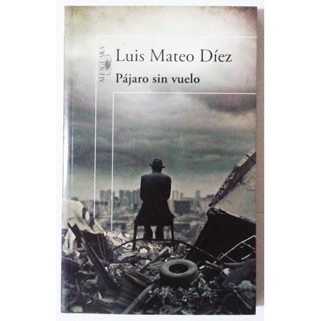 PÀJARO SIN VUELO