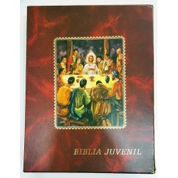 BIBLIA JUVENIL 2 TOMOS