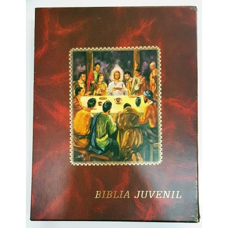 BIBLIA JUVENIL 2 TOMOS