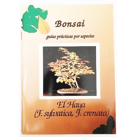EL HAYA ( F. SULVATICA, F. CRENATA)