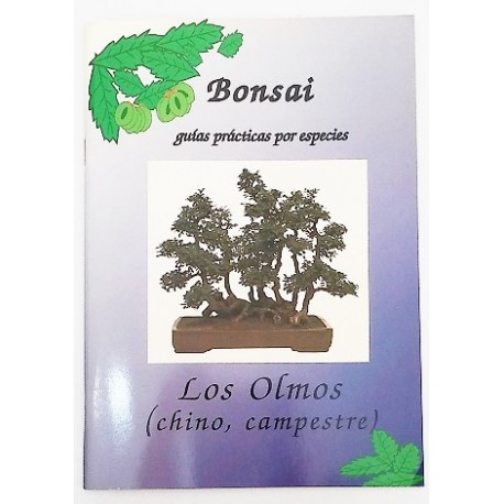 LOS OLMOS (CHINO CAMPESTRE)