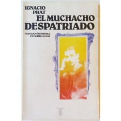 EL MUCHACHO DESPATRIADO. JUAN RAMÓN JIMÉNEZ EN FRANCIA